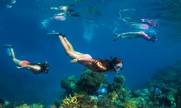 Mamanuca Islands - Day Trips - Captain Cook Cruises