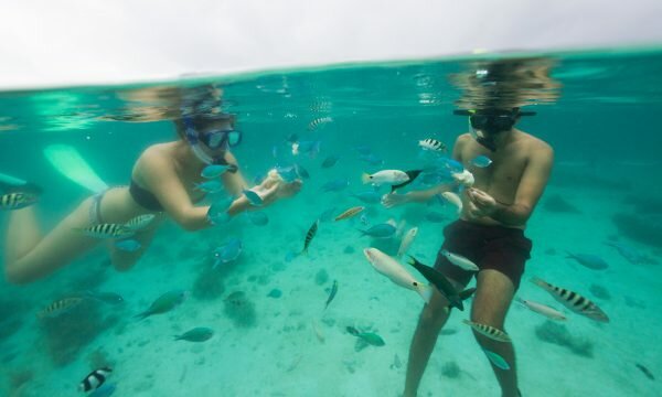 Mamanuca Islands - Resorts - Lomani island Resort
